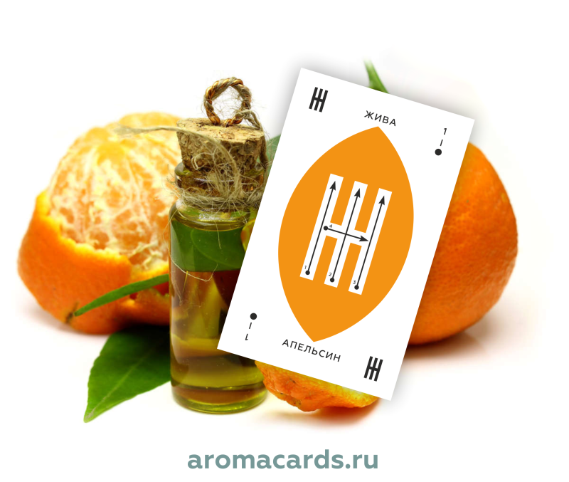 Рунические Аромакарты "Руны Удая" на сайте aromacards.ru